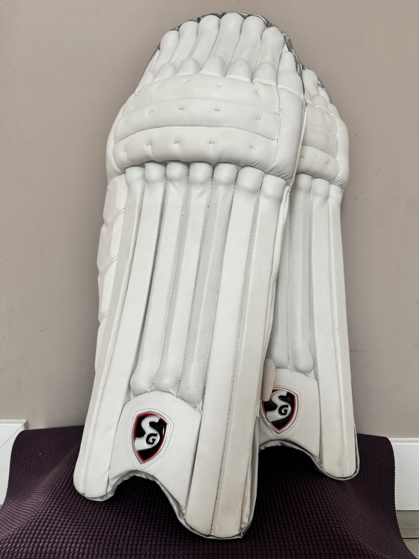 SG Test Batting Leg Guards